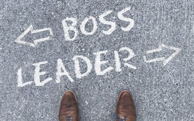 Looking at the Strength of Leadership