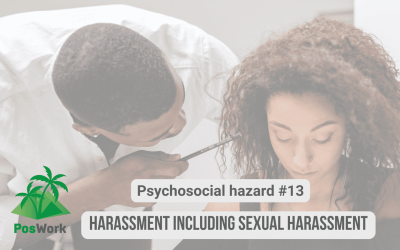 Psychosocial hazard #13 – Harassment including sexual harassment